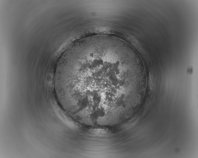 X0000113570449200910021633