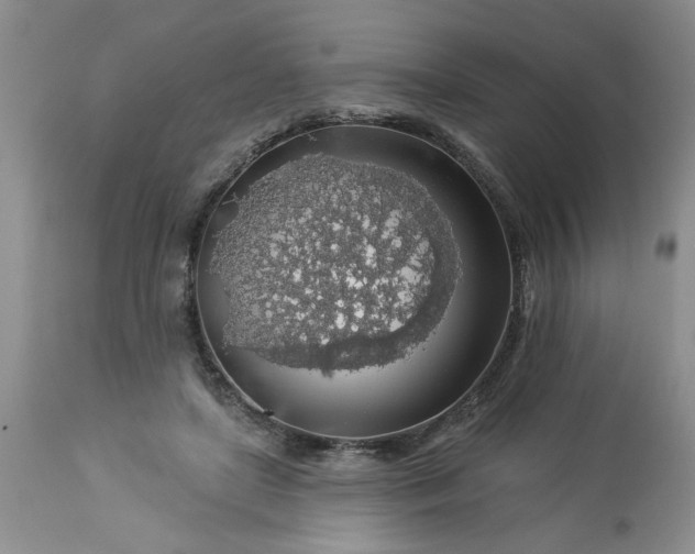 X0000113570451200910021633