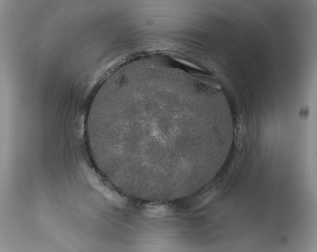 X0000113570454200910021633