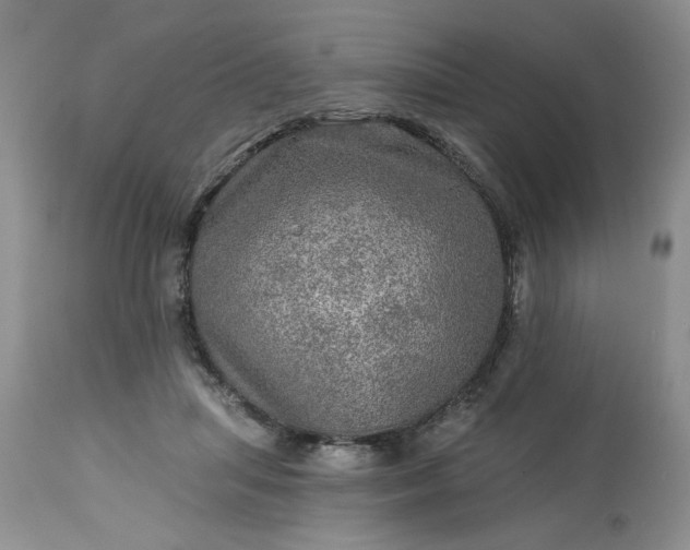 X0000113570455200910021633