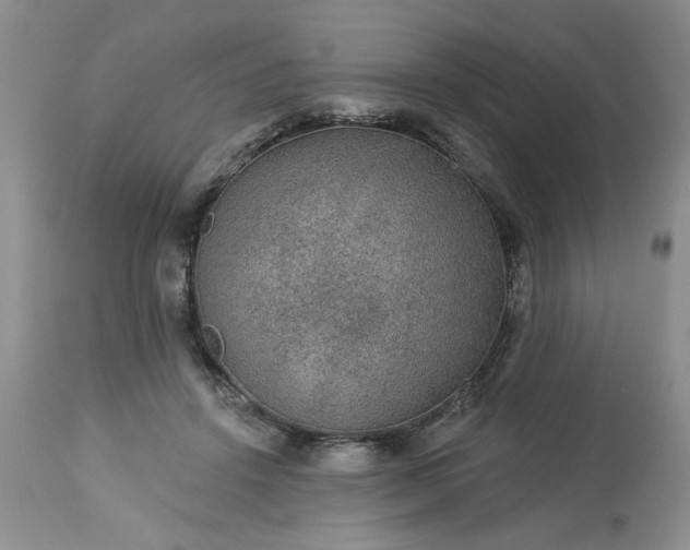 X0000113570456200910021633