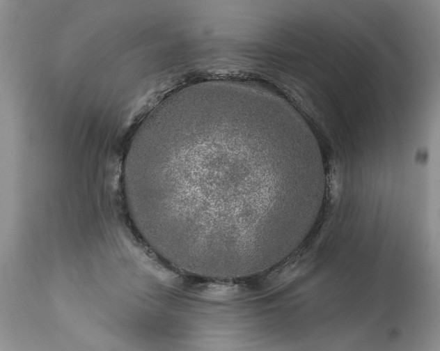 X0000113570458200910021633