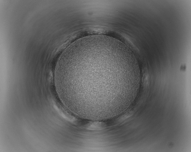 X0000113570459200910021633