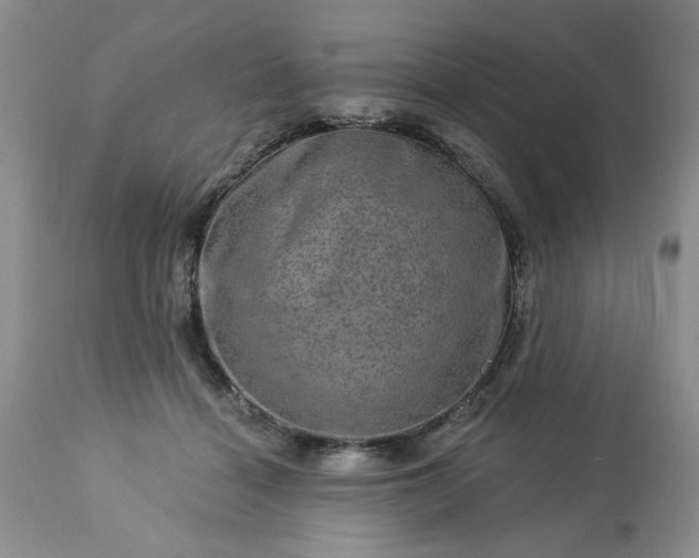 X0000113570460200910021633