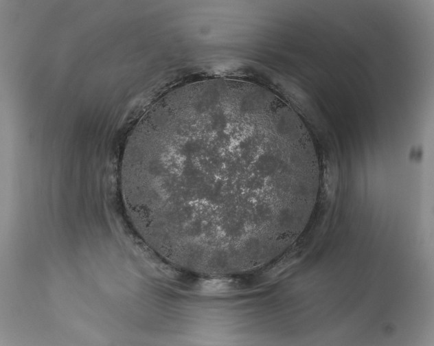 X0000113570461200910021633