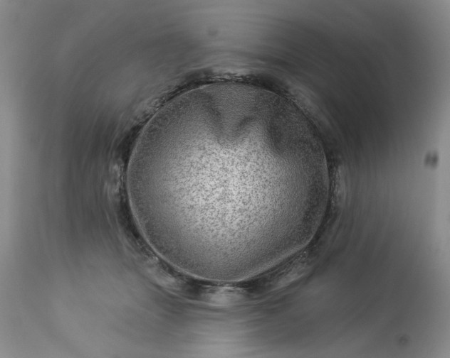 X0000113570463200910021633