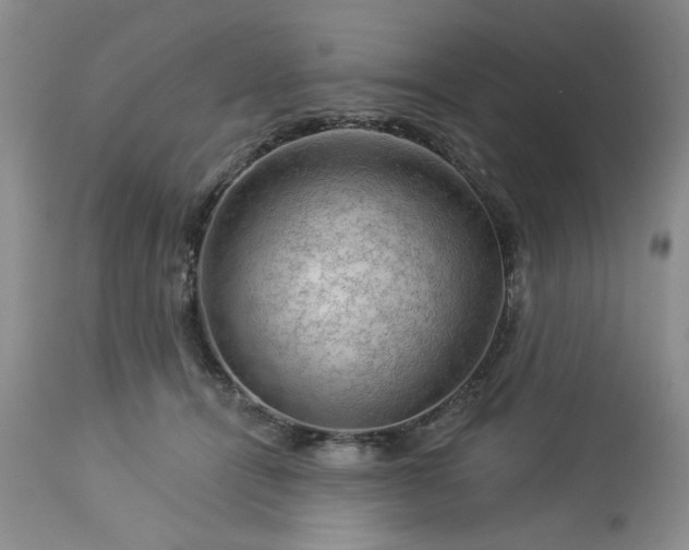 X0000113570464200910021633