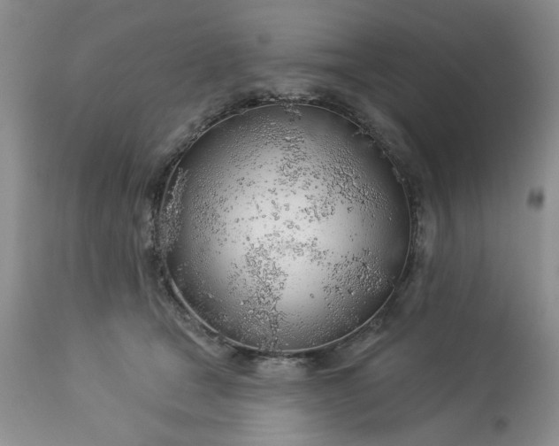 X0000113570465200910021633