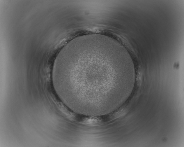 X0000113570466200910021633