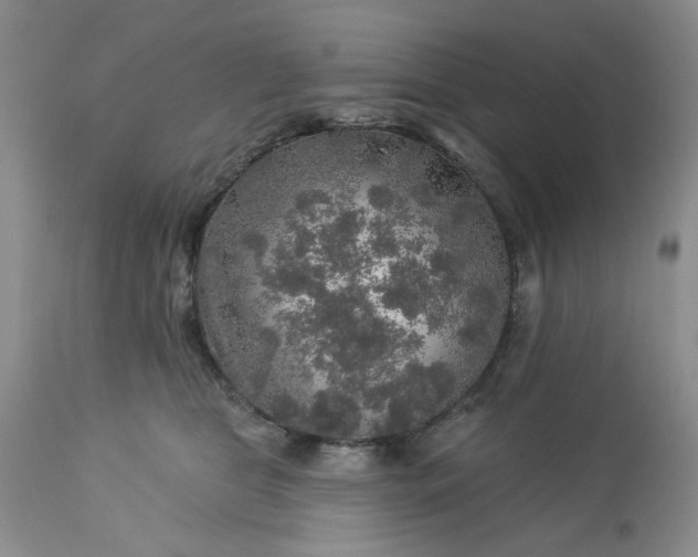 X0000113570469200910021633