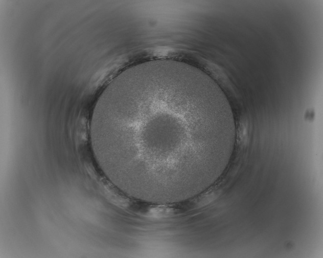 X0000113570470200910021633