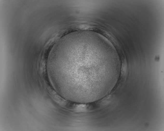 X0000113570473200910021633