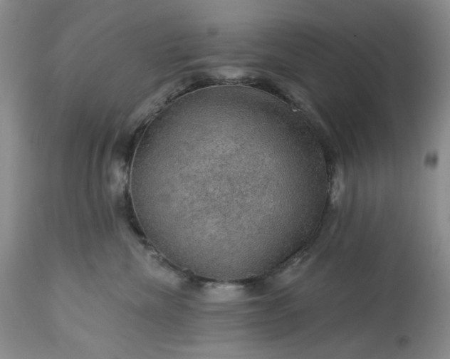 X0000113570476200910021633