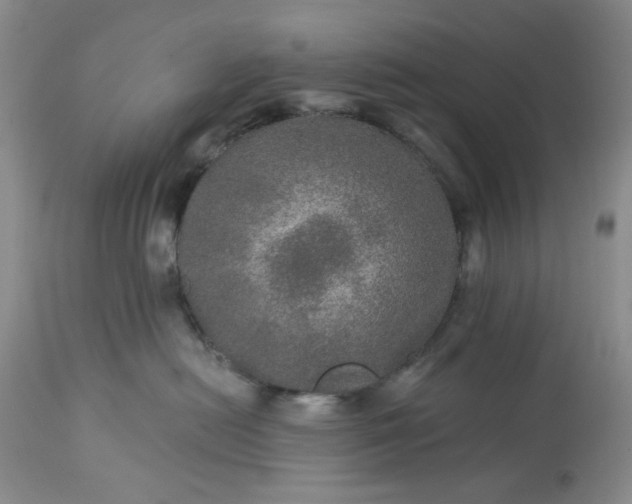 X0000113570478200910021633