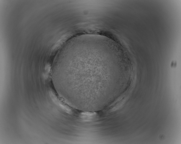 X0000113570480200910021634