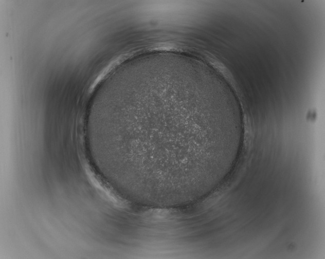 X0000113570482200910021633