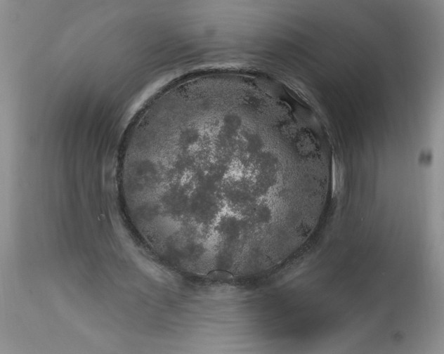 X0000113570483200910021633