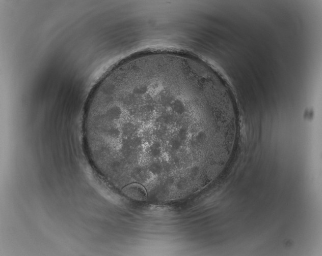 X0000113570487200910021633