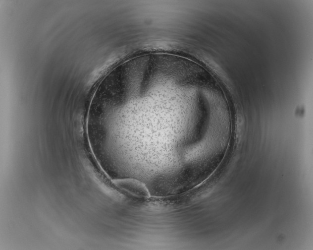 X0000113570489200910021633