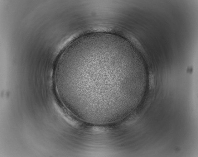 X0000113570490200910021633