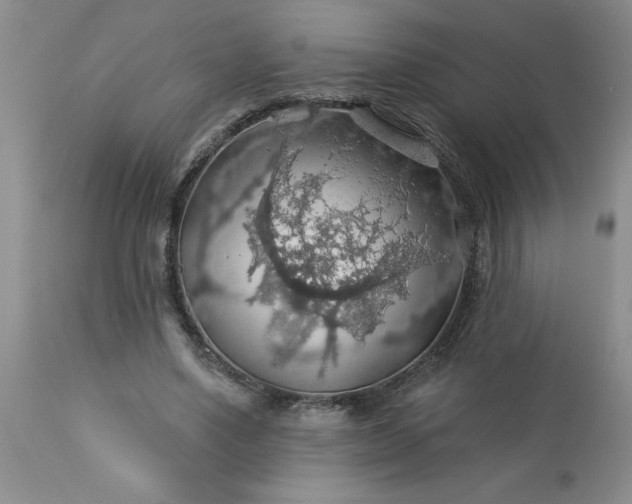 X0000113570491200910021633