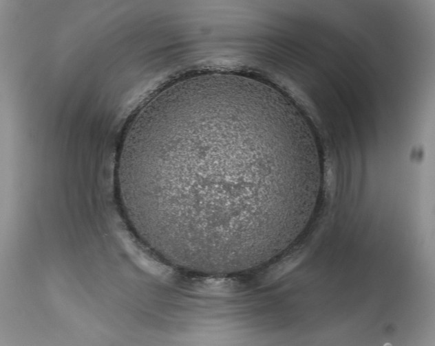 X0000113570493200910021633