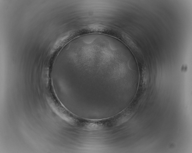 X0000113570494200910021633