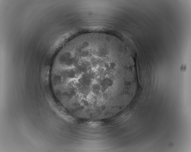 X0000113570495200910021633