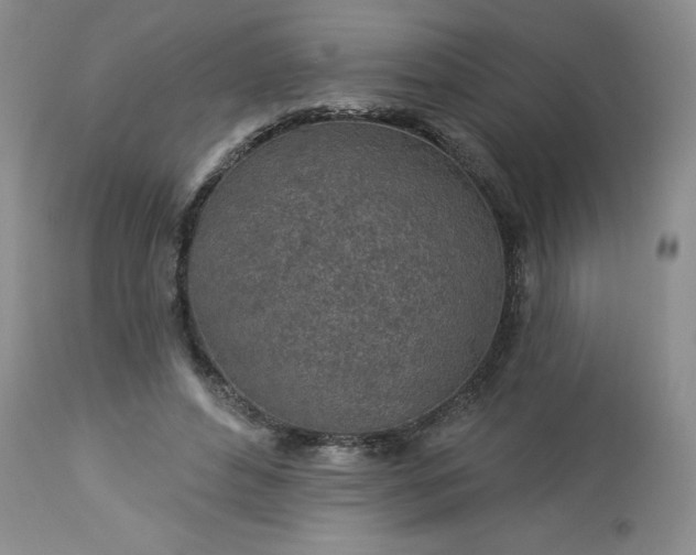 X0000113570496200910021633