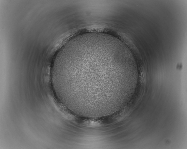 X0000113570498200910021632