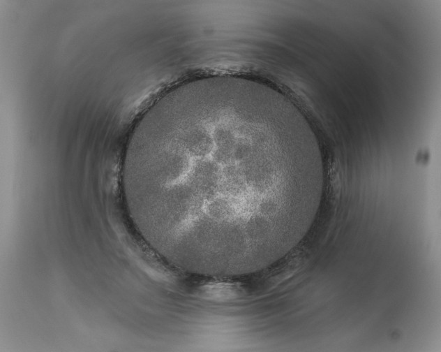 X0000113570499200910021632