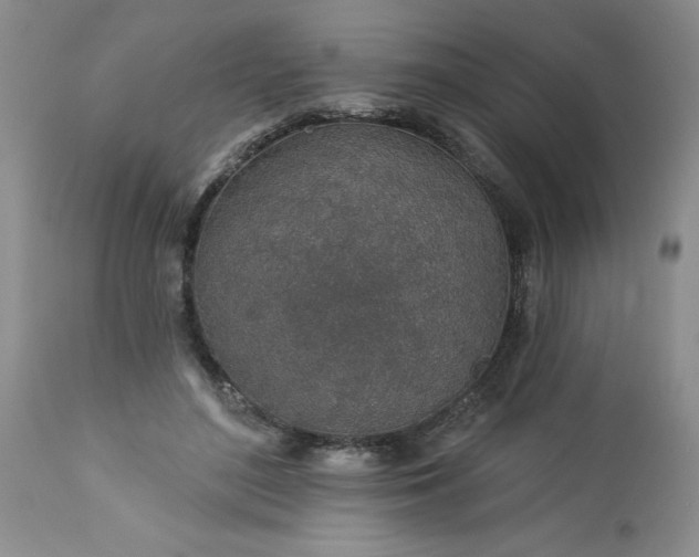 X0000113570500200910021632