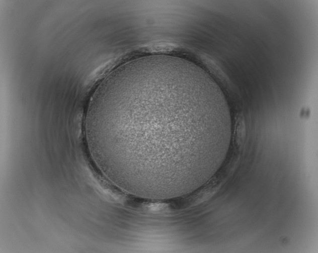 X0000113570501200910021632