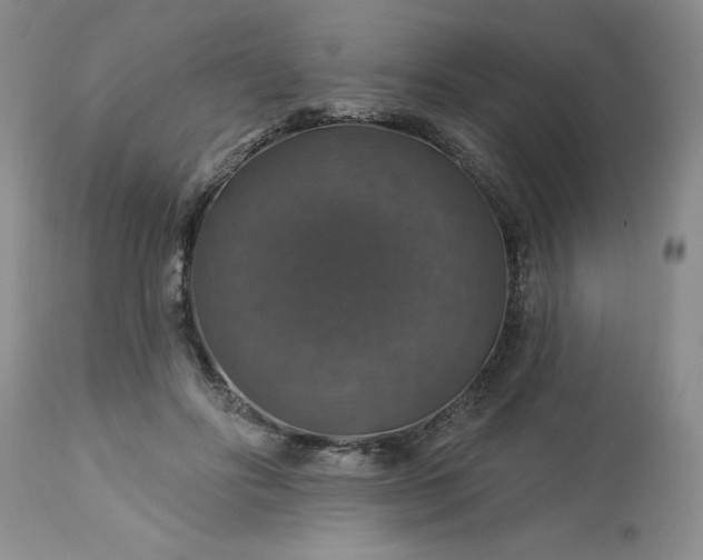 X0000113570502200910021632