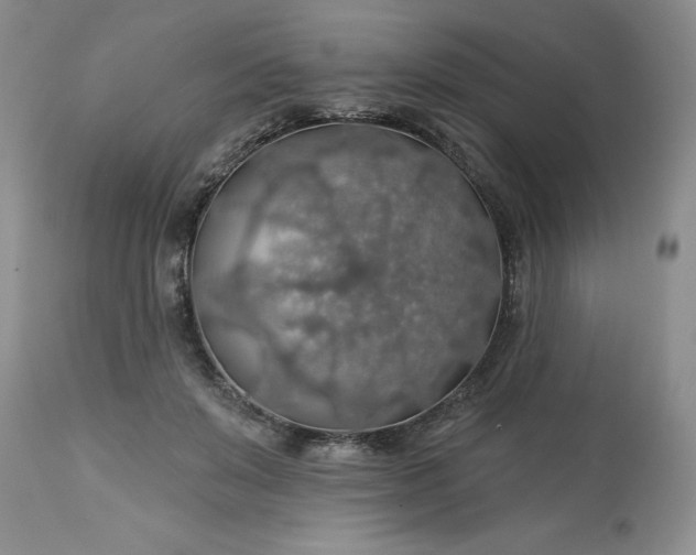 X0000113570503200910021632