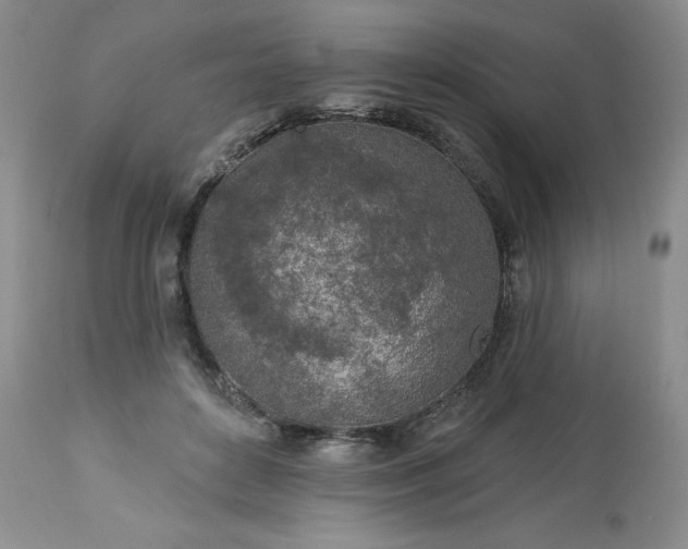 X0000113570504200910021632