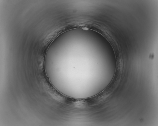 X0000113570505200910021632