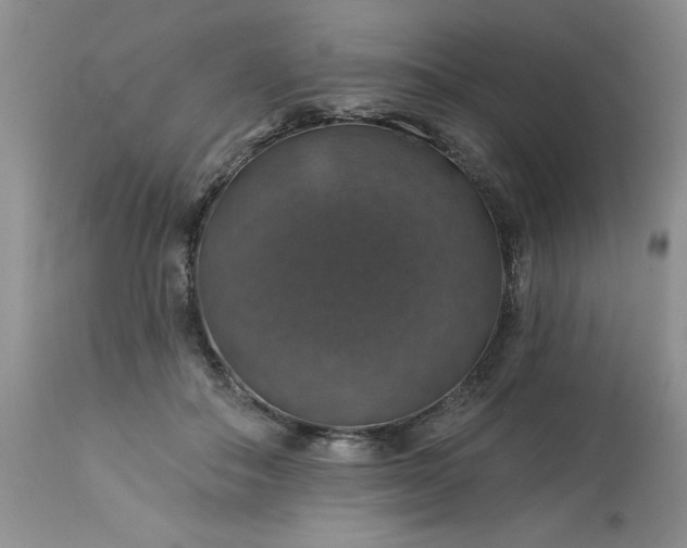 X0000113570506200910021632