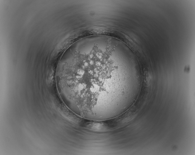 X0000113570507200910021632