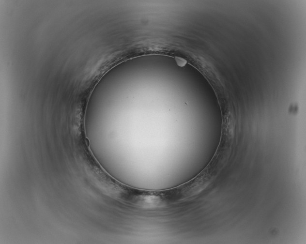 X0000113570509200910021632