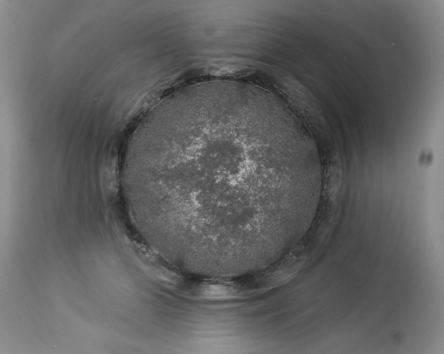 X0000113570510200910021632