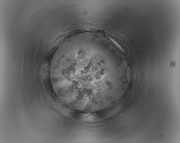 X0000113570511200910021632