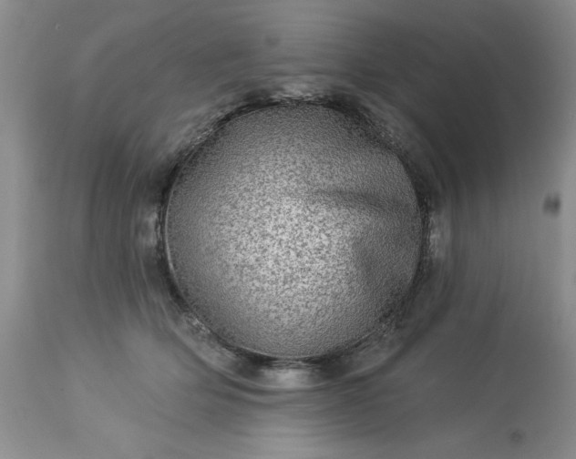 X0000113570514200910021632