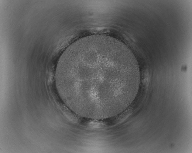 X0000113570515200910021632