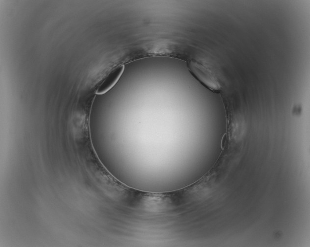 X0000113570521200910021632