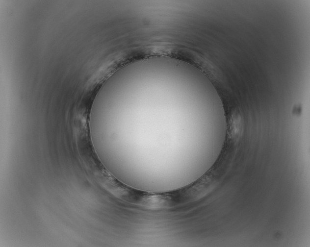 X0000113570522200910021632