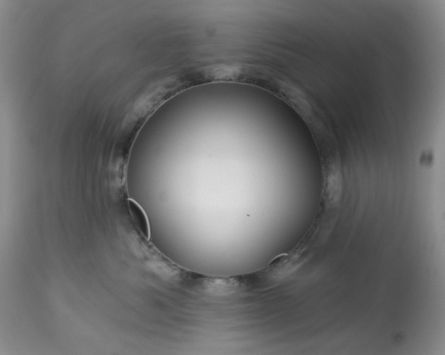 X0000113570525200910021632