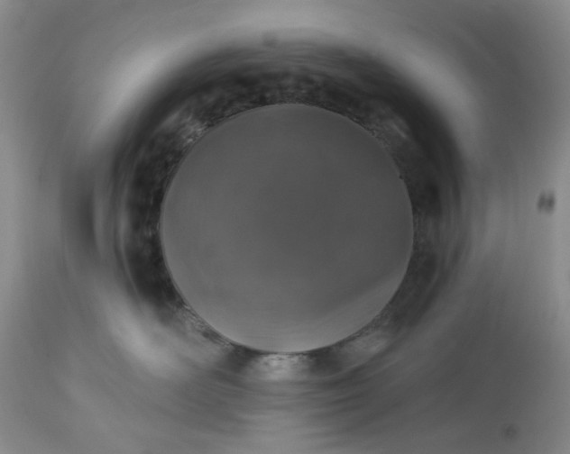 X0000113570526200910021632