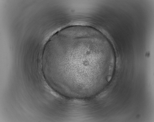 X0000113570529200910021631