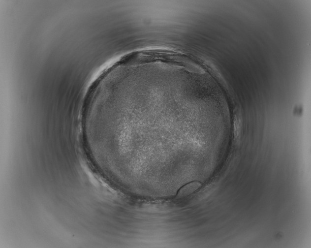 X0000113570532200910021631